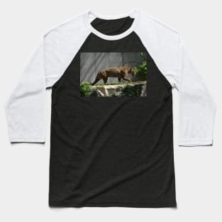 Jaguar Baseball T-Shirt